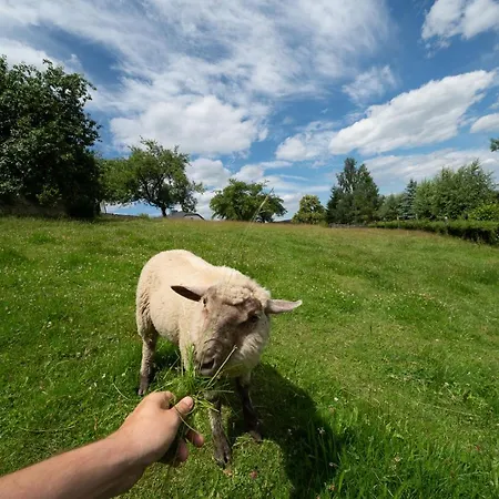 Na šumavě Stachy